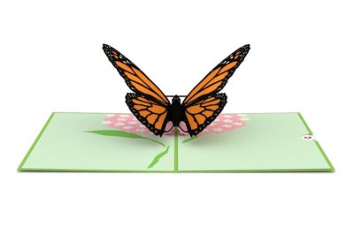 Joyelle's Jewelers - Gifts - Butterfly Overview 1024x1024